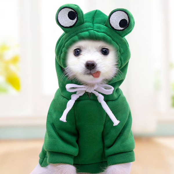 Roupinha Divertida para Pets Funky Frog
