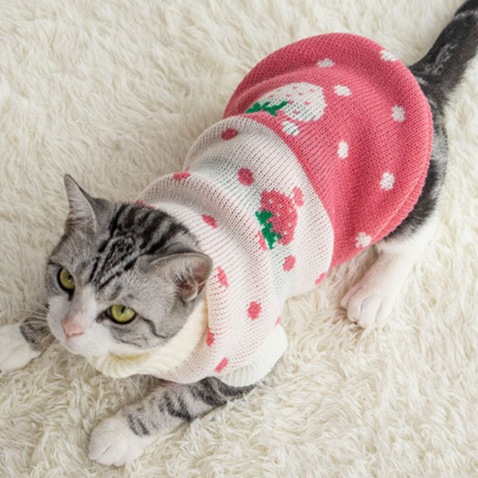 Suéter para Pets Winterboo Morangos
