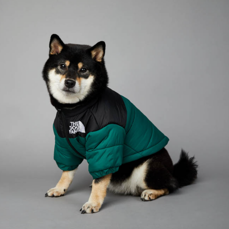 Jaqueta para Cães WarmDog Verde