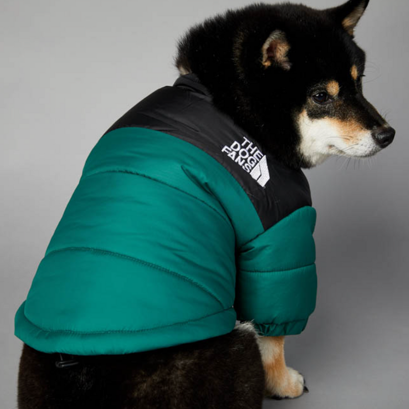 Jaqueta para Cães WarmDog Verde