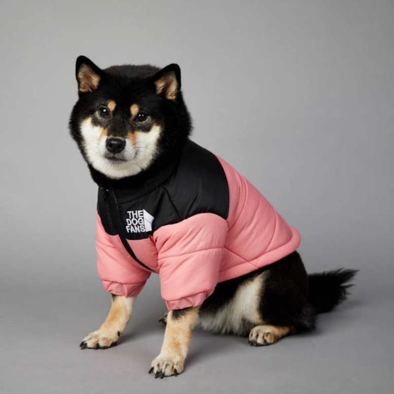 Jaqueta para Cães WarmDog Rosa