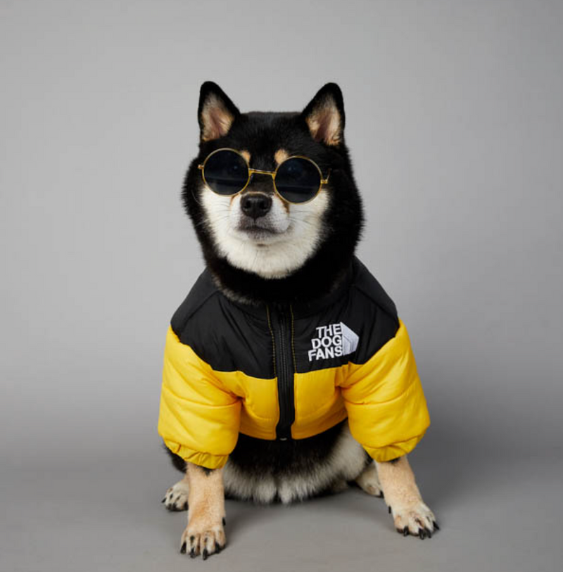 Jaqueta para Cães WarmDog Amarela