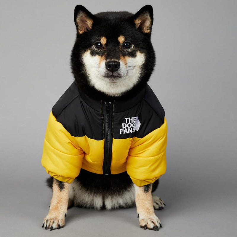 Jaqueta para Cães WarmDog Amarela