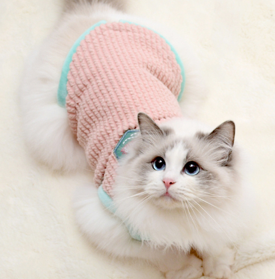 Suéter para Gatos MadrePat Rosa