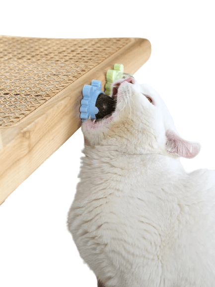 Brinquedo Catnip para Gatos Craby Azul