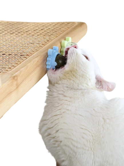 Brinquedo Catnip para Gatos Craby Rosa