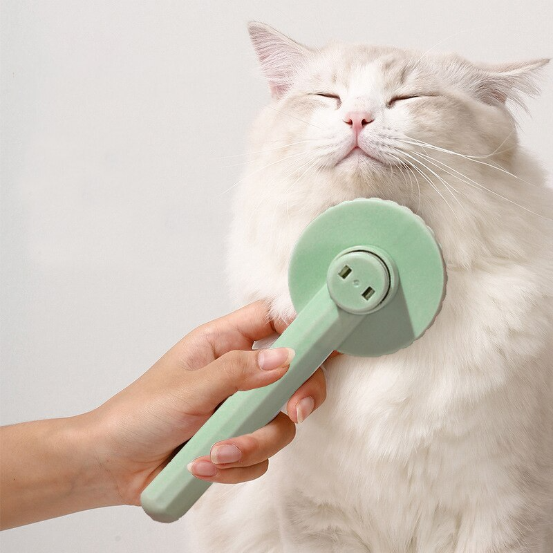 Escova para Remoção de Pelos Pets Clean Verde
