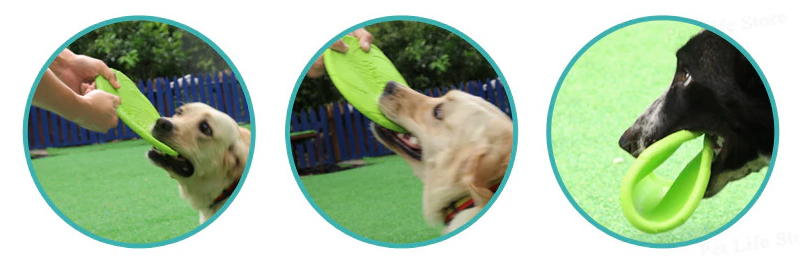 Brinquedo Frisbee para Cães Flex Verde