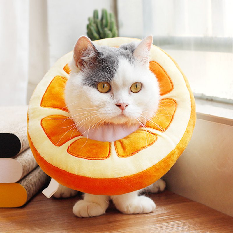 Colar de Recuperação para Pets Fruity Orange
