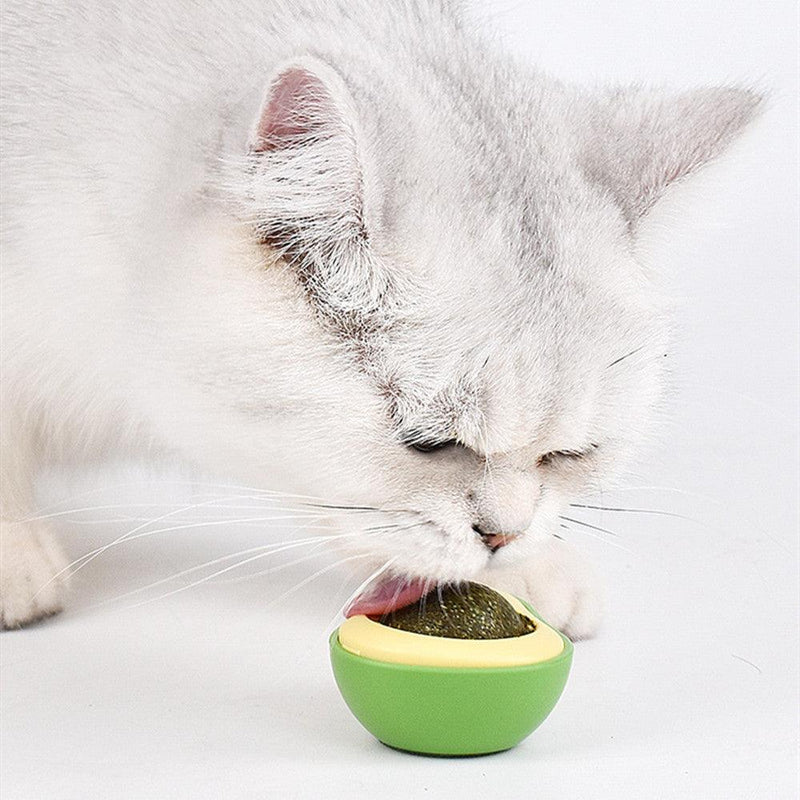 Brinquedo para Gato com Catnip Avocado