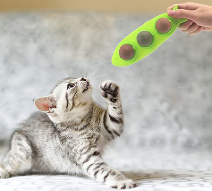 Brinquedo Bola de Catnip para Gatos Minty Verde