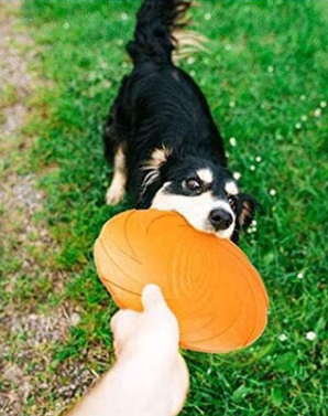 Brinquedo Frisbee para Cães Flex Laranja