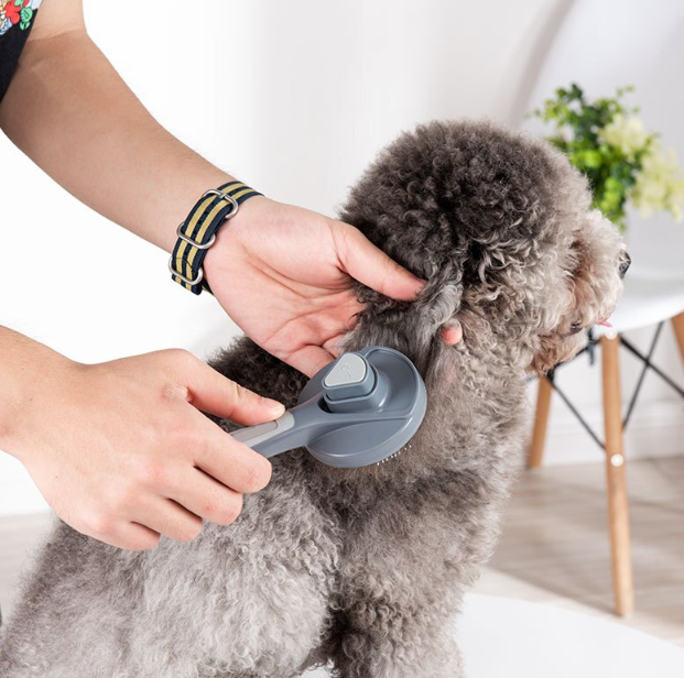 Escova Removedora de Pelos para Pets Pakeway Cinza