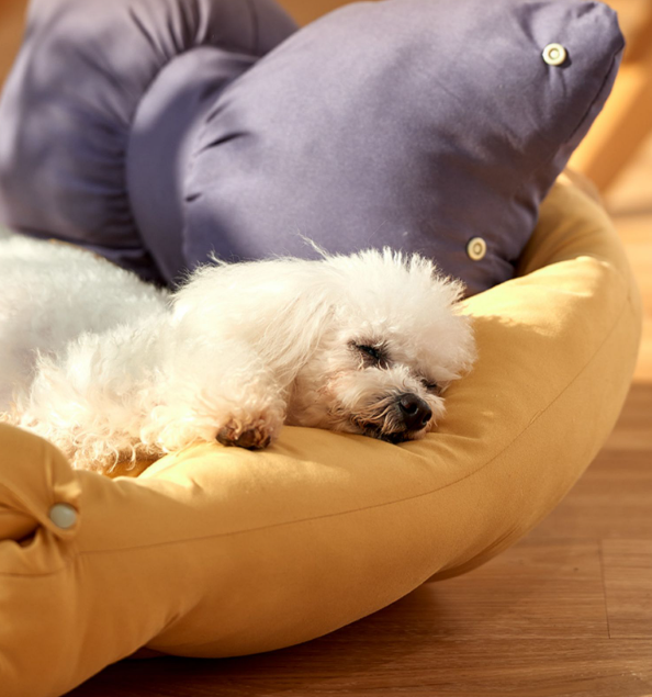Cama Multifuncional para Pets Luxury Amarelo