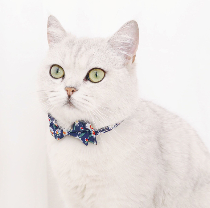 Coleira Gravatinha para Gatos TieTie Azul